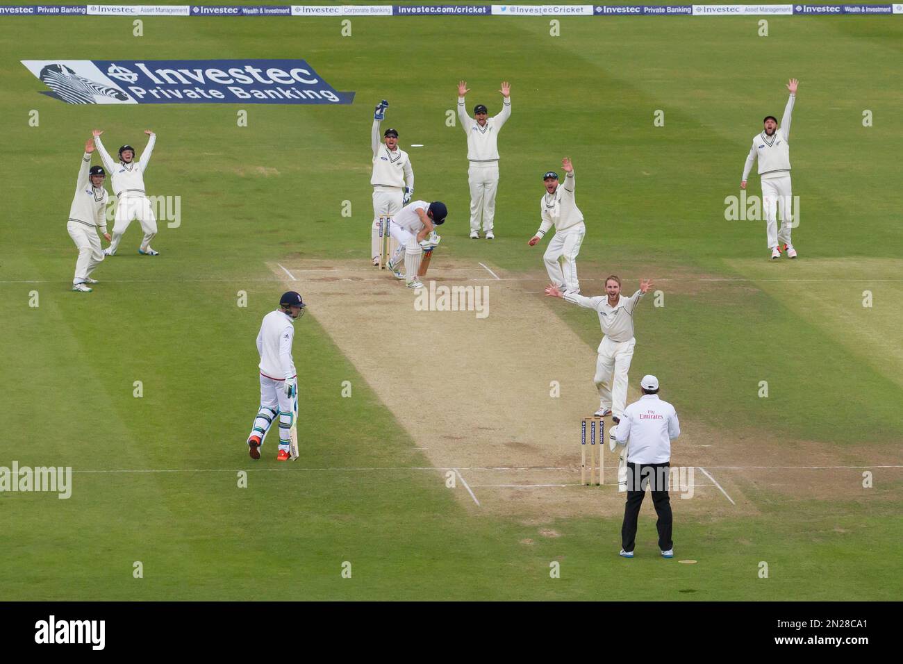 New Zealand's Kane Williamson, lower centre right, celebrates as