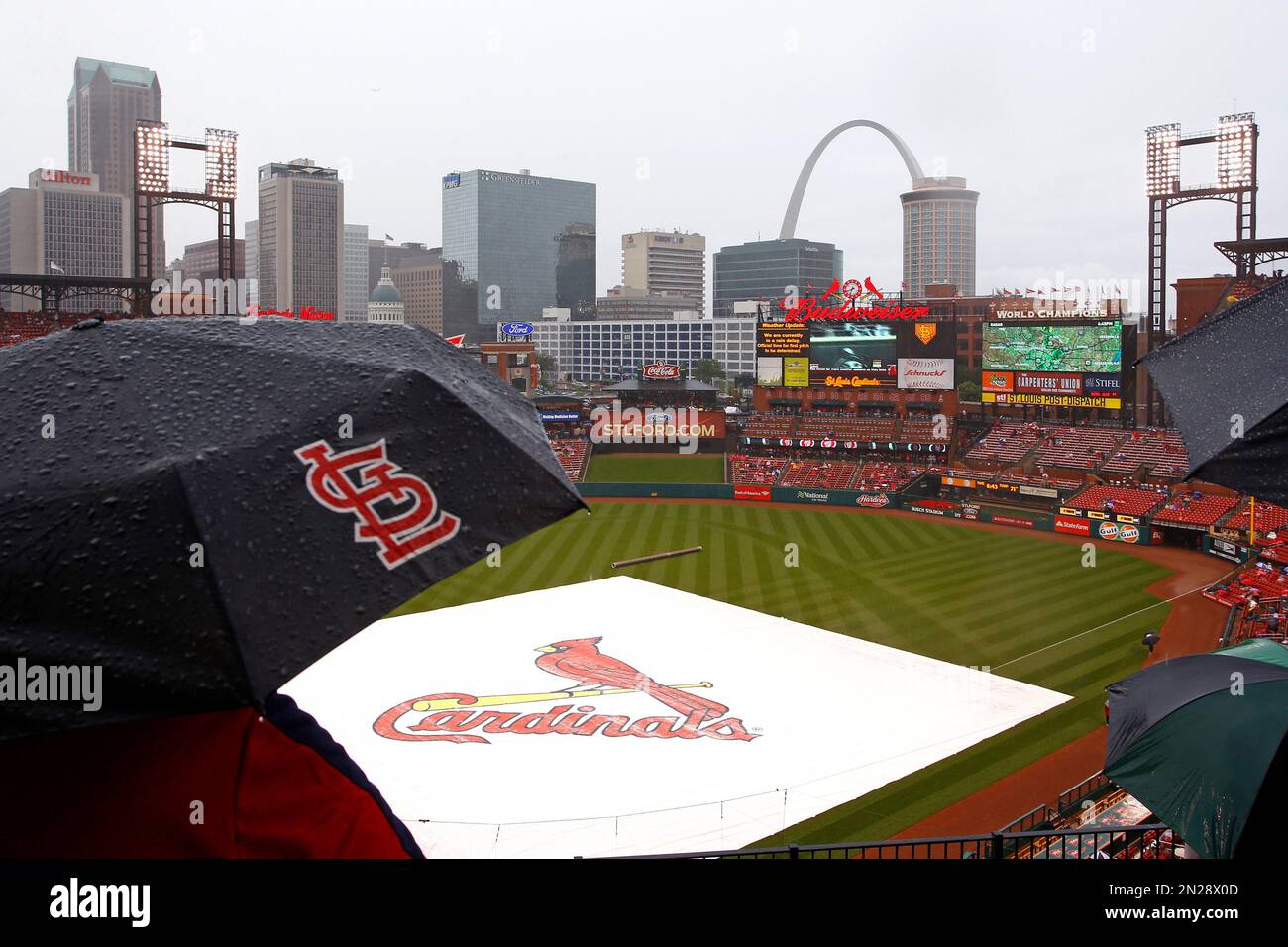 Fans sit under umbrellas and the tarp covers the field at Busch Stadium