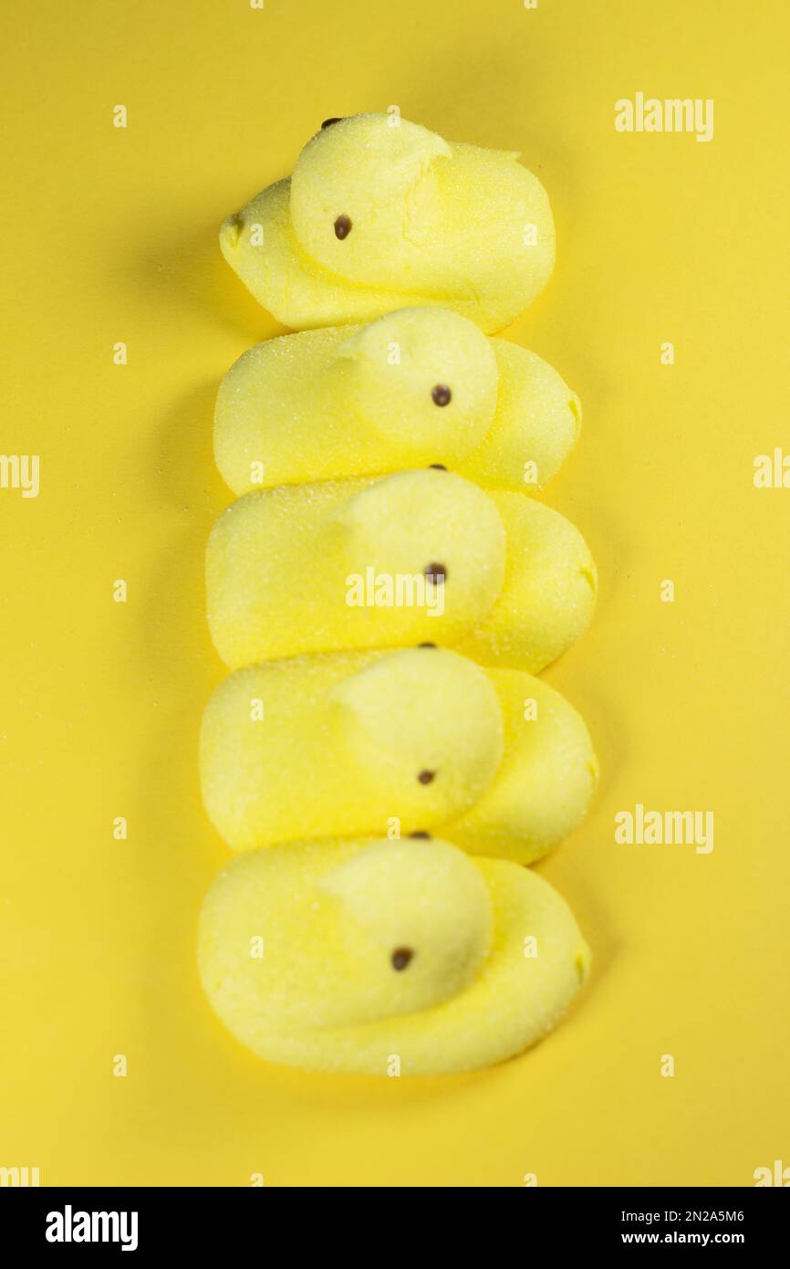 A row of peeps Easter candy with one chick facing the wrong direction. Stock Photo