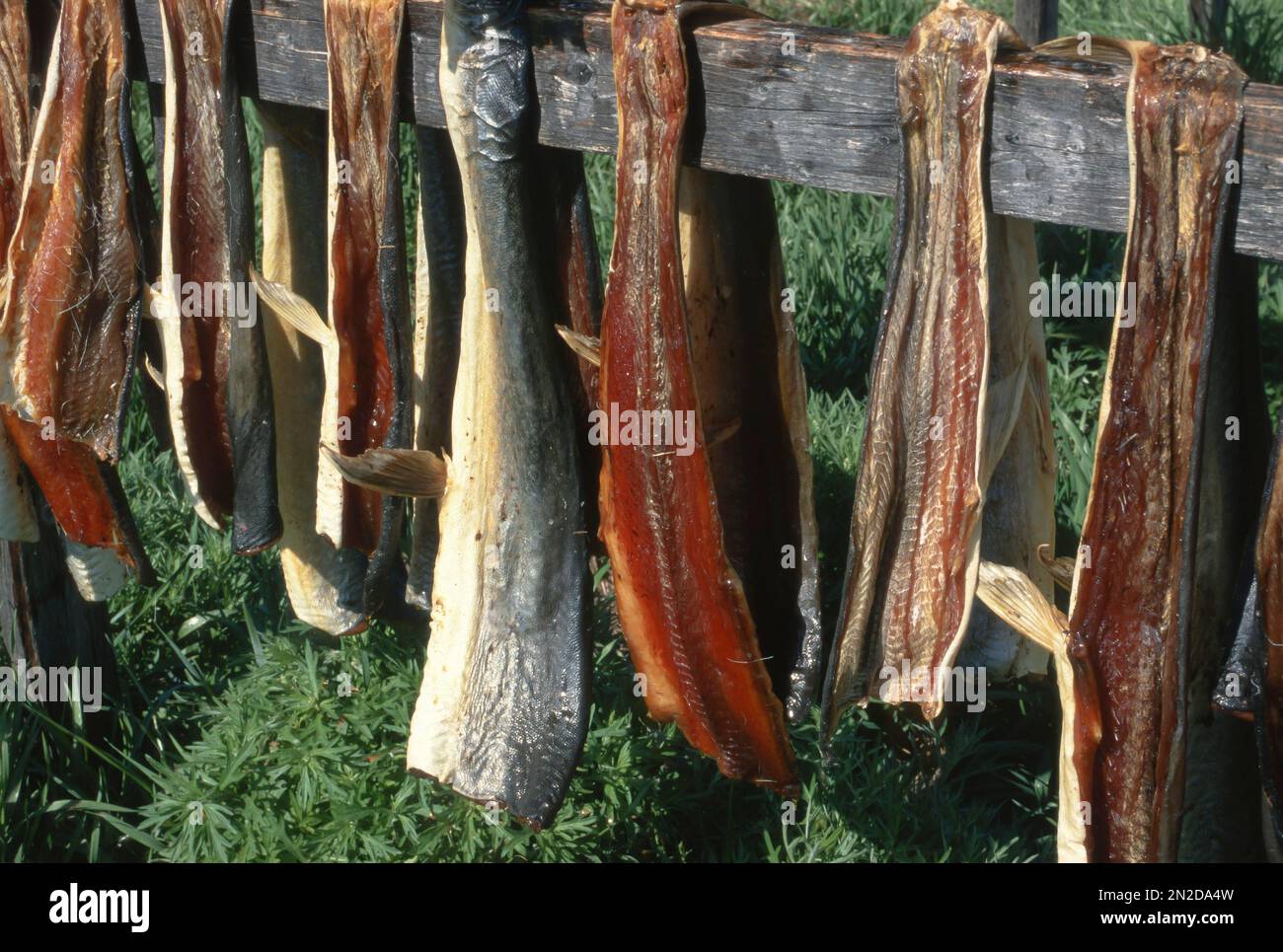 Dried fish rack hi-res stock photography and images - Alamy