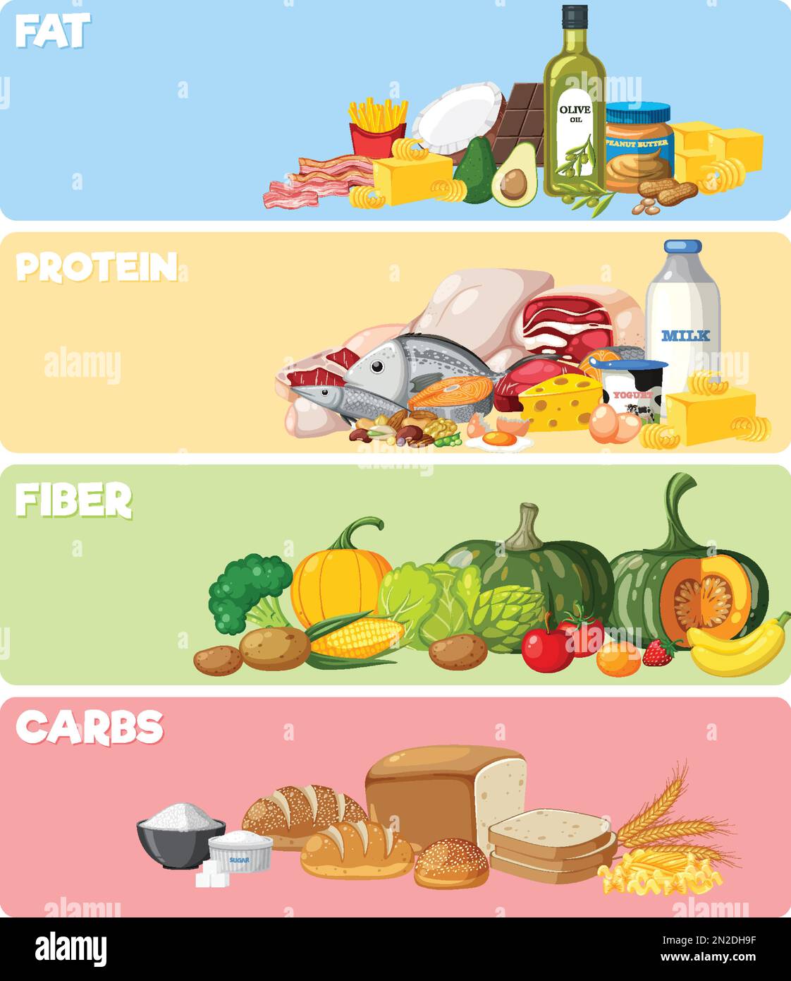 The four main food groups illustration Stock Vector Image & Art Alamy