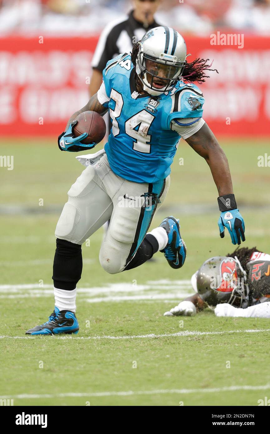 Carolina Panthers DeAngelo Williams runs with the football during the ...