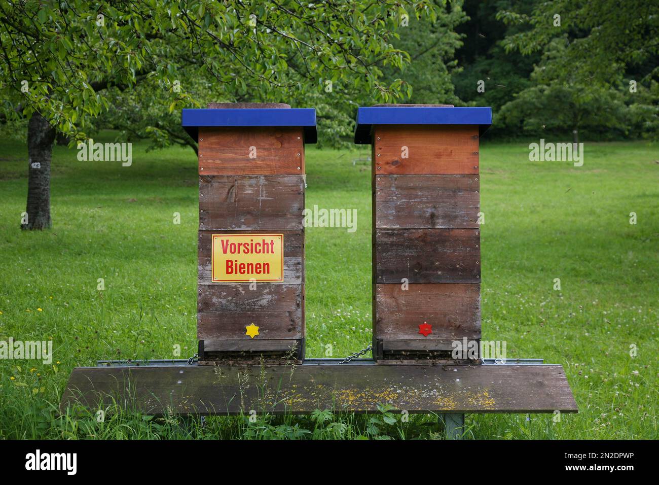 Dettinger hi-res stock photography and images - Alamy