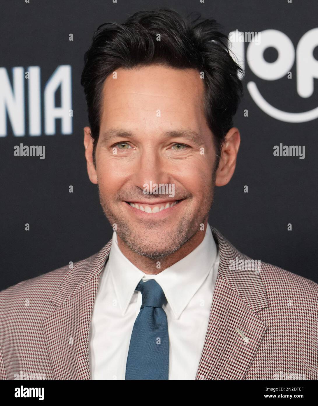 Actor Paul Rudd Los Angeles Premiere 'Ant Man Wasp' Held – Stock