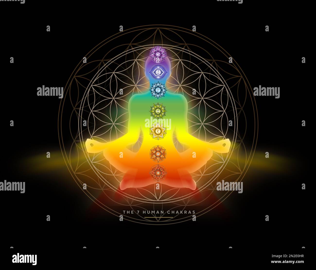 Human silhouette in yoga / lotus pose with 7 Chakras Symbols and Flower of Life. (Human energy body, aura, yoga lotus pose). Stock Photo