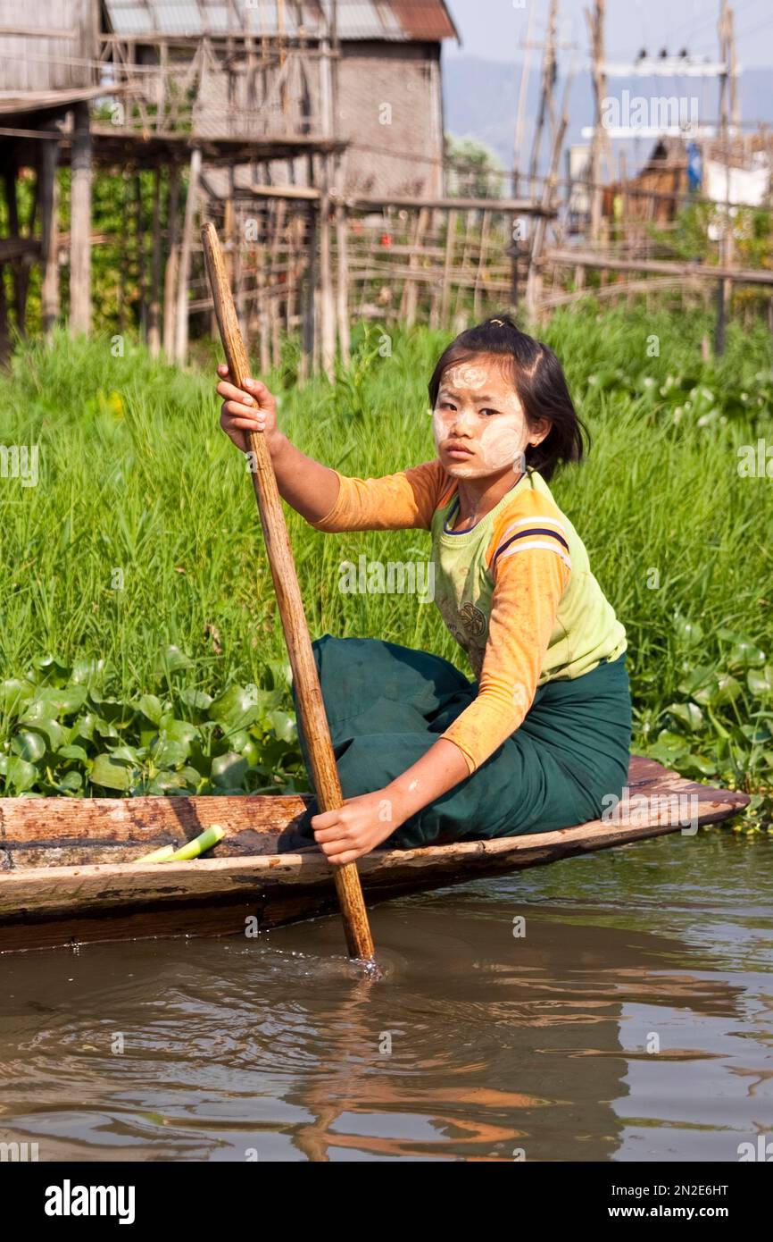 Floating fields, single-leg rower, Inle Lake, Myanmar, Inle Lake, Myanmar, Asia Stock Photo