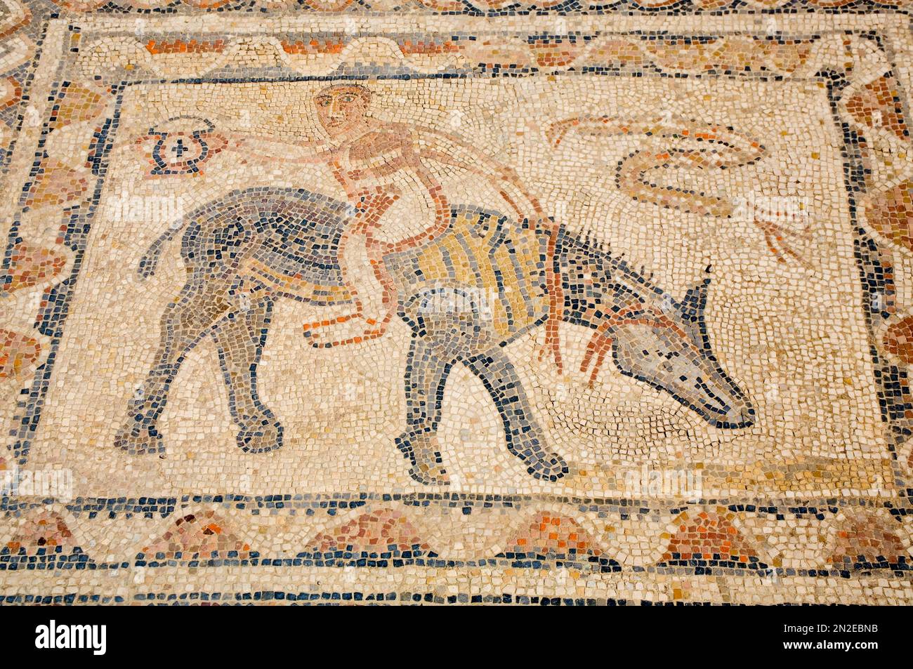 Donkey rider, Roman mosaic, Volubilis, Voloubilis, Morocco, Africa Stock Photo