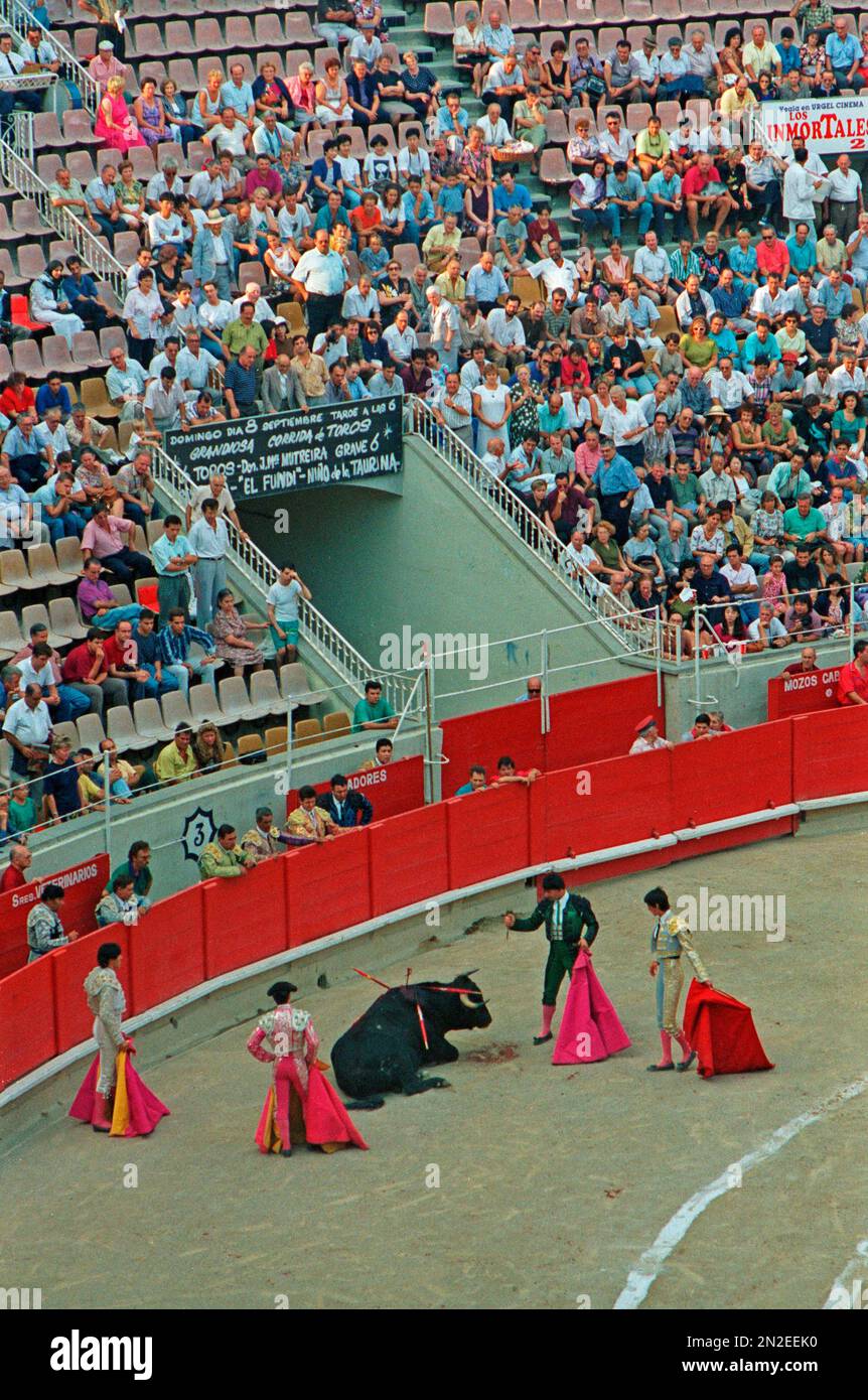Banderillero ready to stab the bull, Bullfight, Plaza de Toros Monumental, 01. 09. 1991, Barcelona, Spain Stock Photo