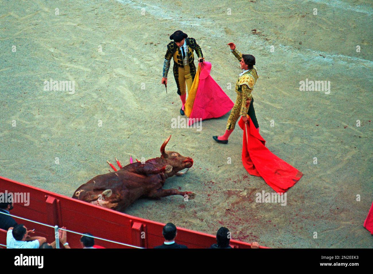 Matador waving after stabbing the bull, Bullfight, Plaza de Toros Monumental, 01. 09. 1991, Barcelona, Spain Stock Photo