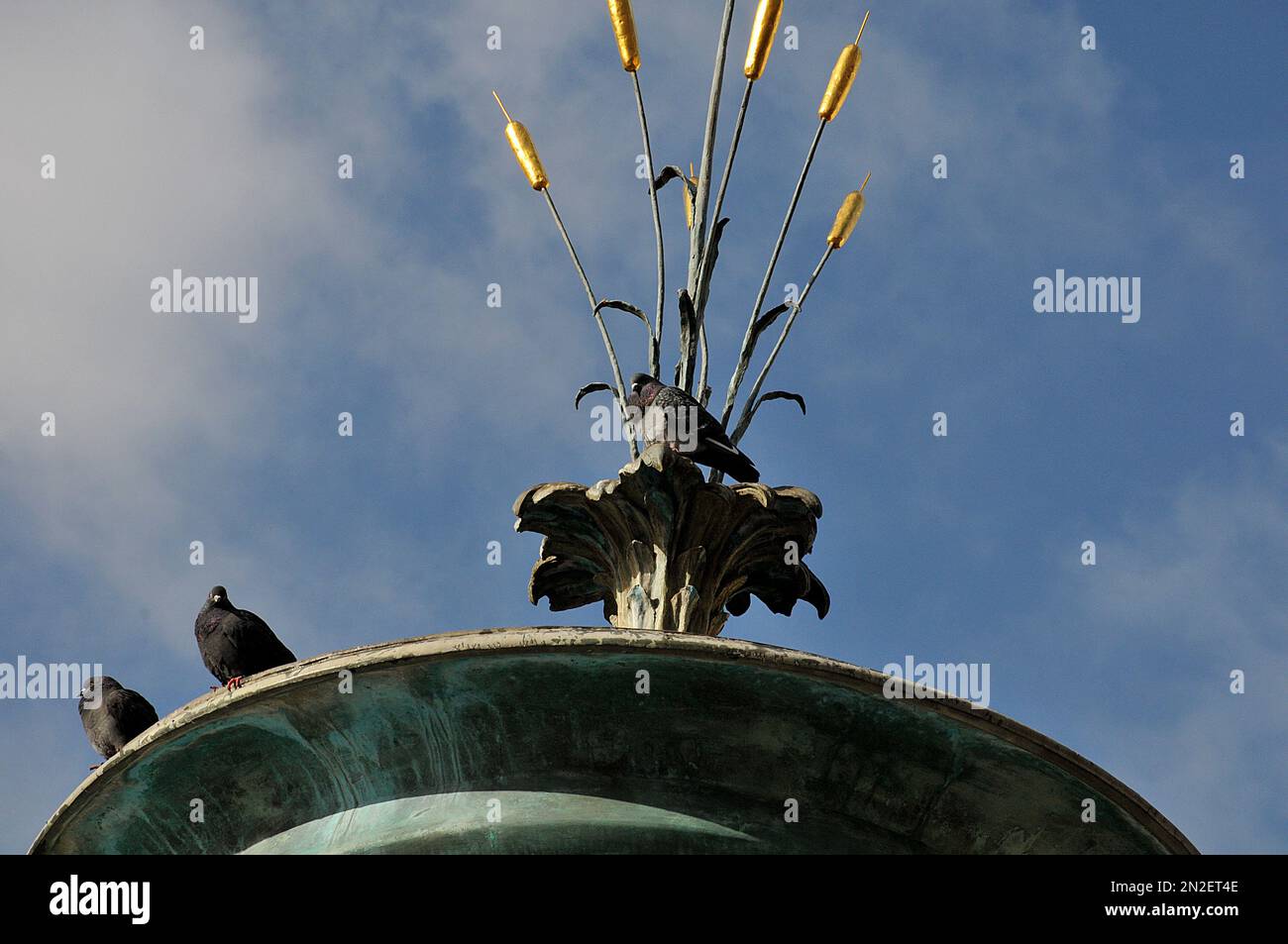 Copenhagen /Denmark/ 21.February 2020 /  Doves enjoy sun shine while sitting on stoke faountain on stroeget on mager torv in danish capital. (Photo..Francis Joseph Dean / Deanpictures). Stock Photo