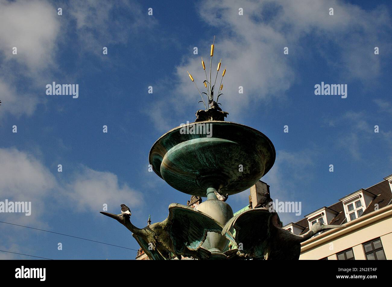 Copenhagen /Denmark/ 21.February 2020 /  Doves enjoy sun shine while sitting on stoke faountain on stroeget on mager torv in danish capital. (Photo..Francis Joseph Dean / Deanpictures). Stock Photo