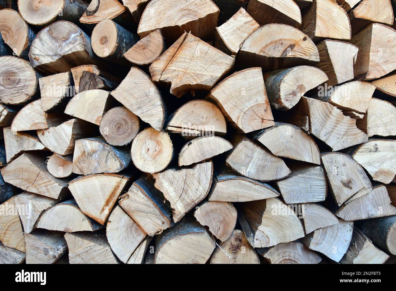 A huge woodpile made by a lumberjack Stock Photo