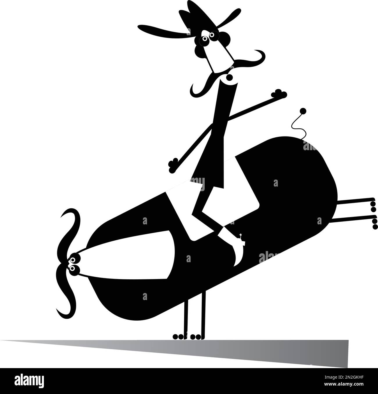 Rodeo, man and bull isolated. Man or cowboy with long mustache is