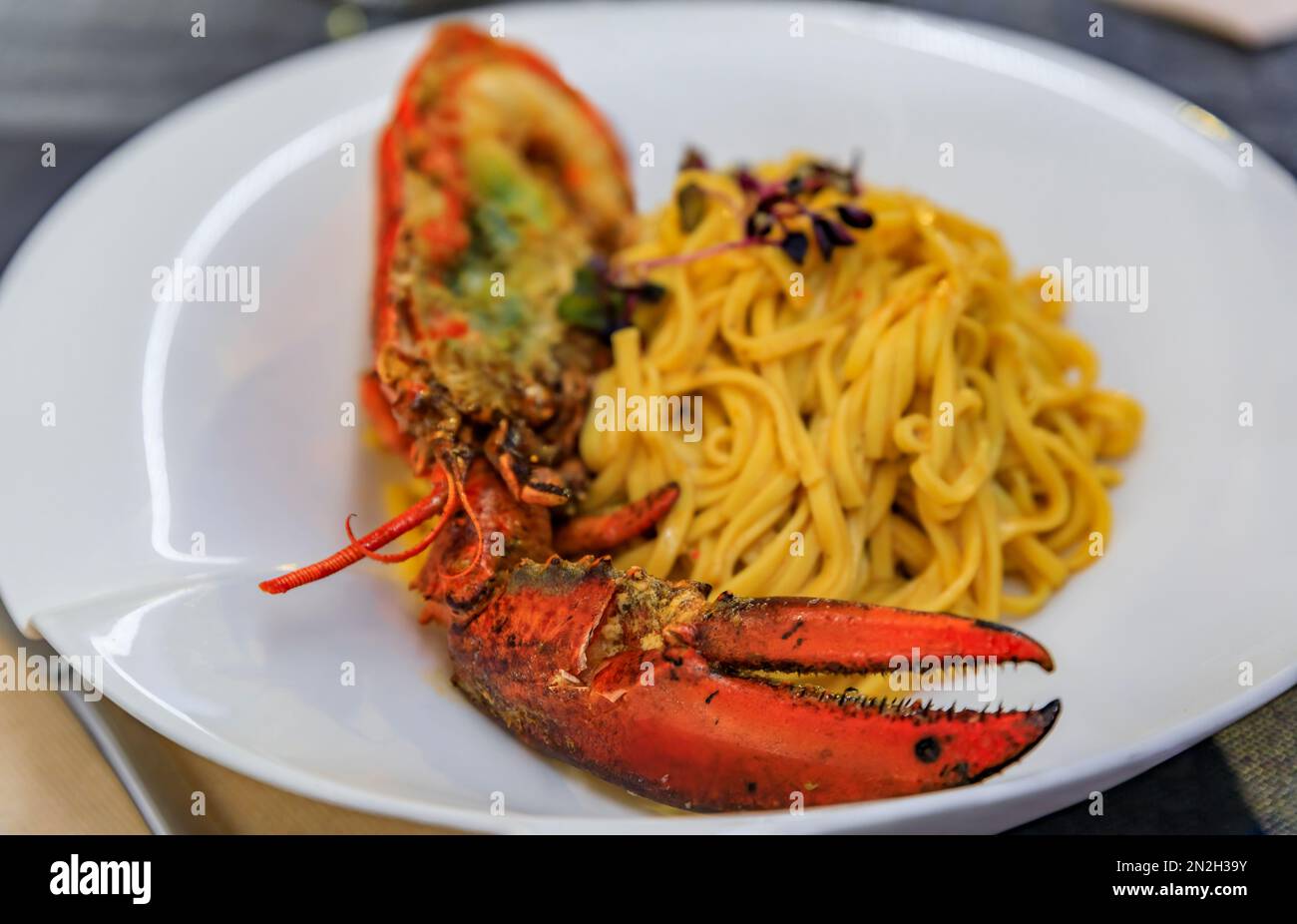 Fresh linguine pasta with a half lobster, decorated with micro greens