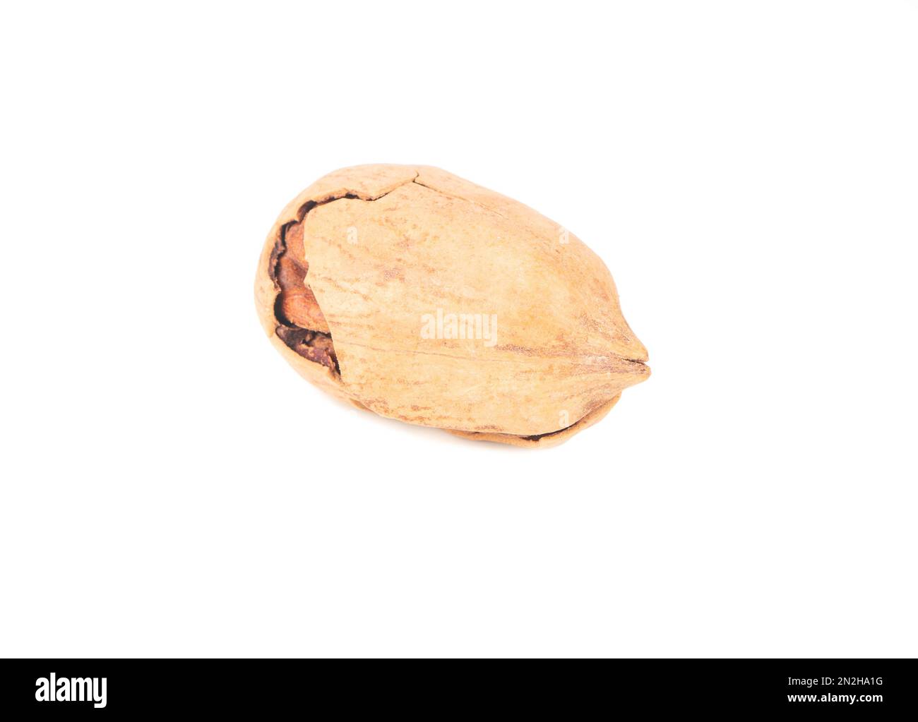 Pecan nut in shell isolated on white background Stock Photo