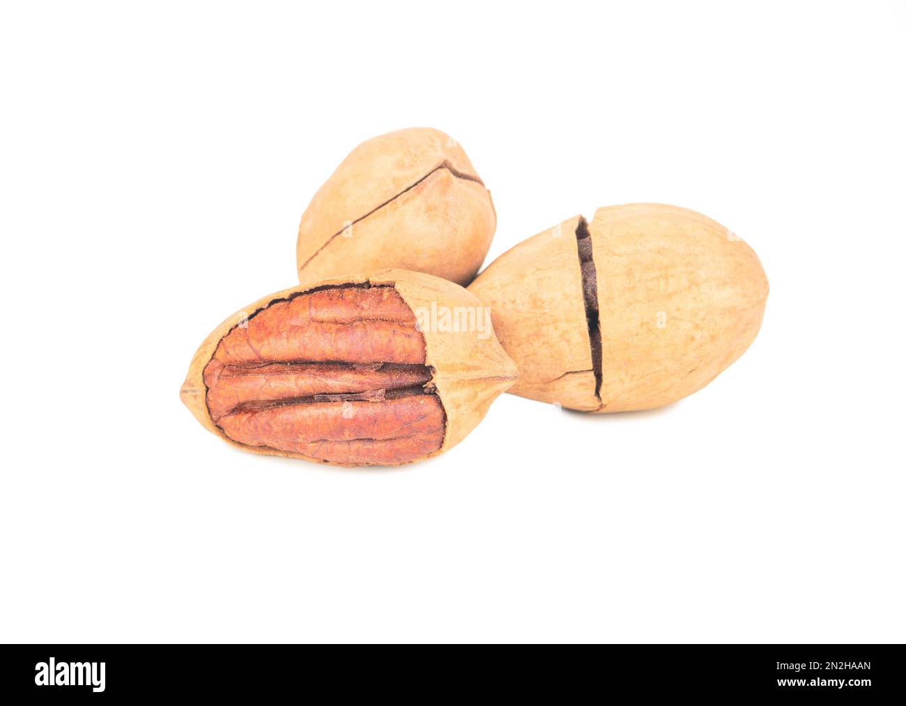 Three pecans in shell isolated on white background Stock Photo