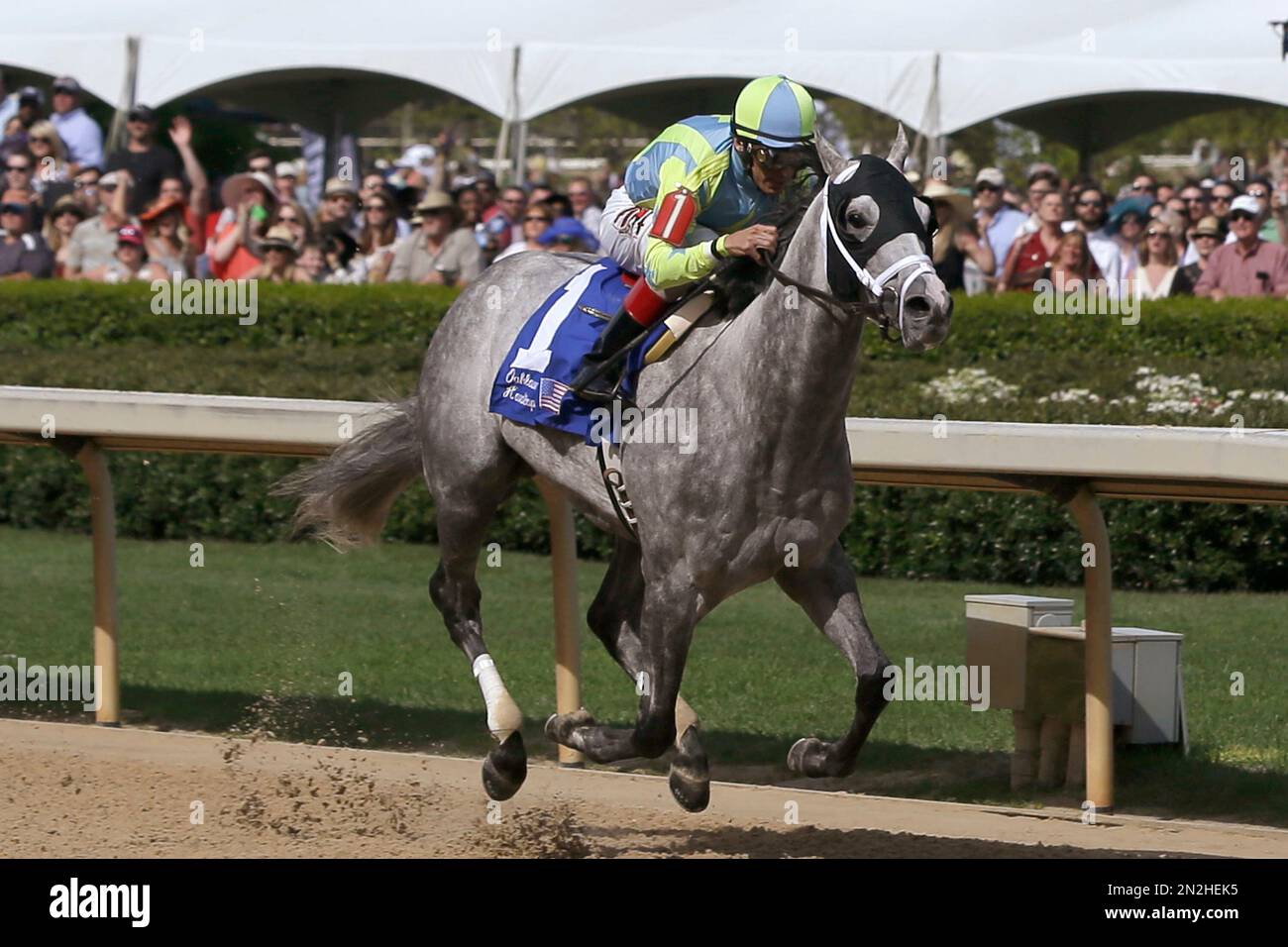 Race Day is led to the finish line by jockey John Velazquez to win the 600,000 Oaklawn Handicap