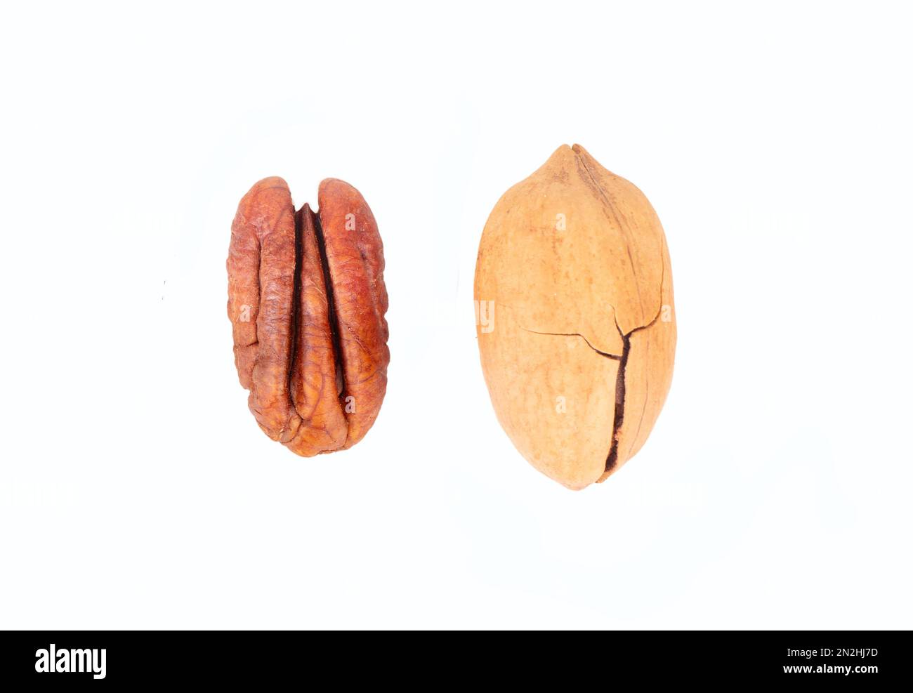 Half pecan and nut in shell isolated on white background. Top view Stock Photo