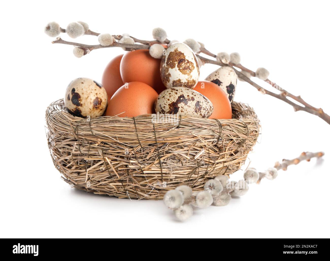 Nest with Easter eggs and willow branches on white background Stock ...