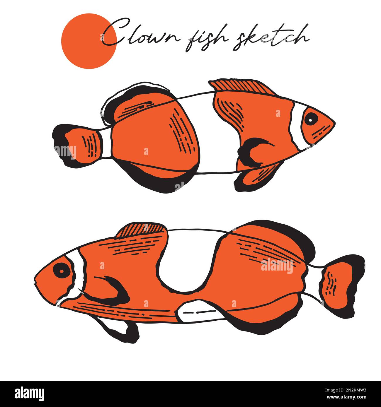 Coloring book page for preschool children with colorful clown fish and