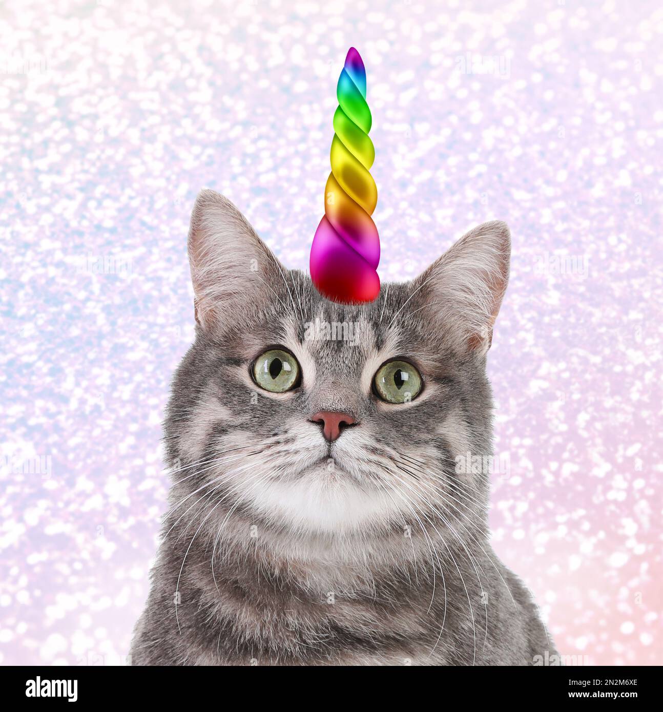 Cute cat with rainbow unicorn horn on blurred sparkling background ...