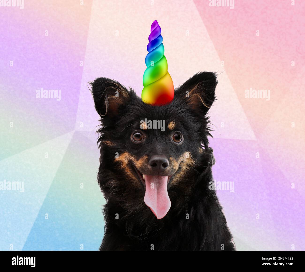 Cute dog with rainbow unicorn horn on blurred background Stock Photo