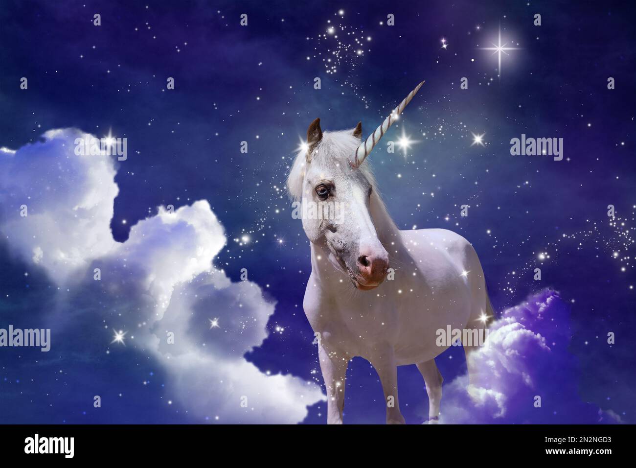 Magic unicorn in fantastic starry sky with fluffy clouds Stock Photo ...