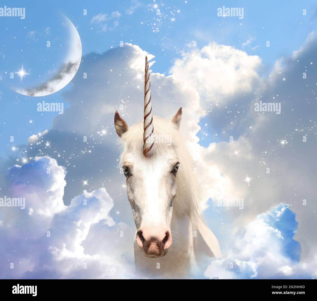 My Image 25