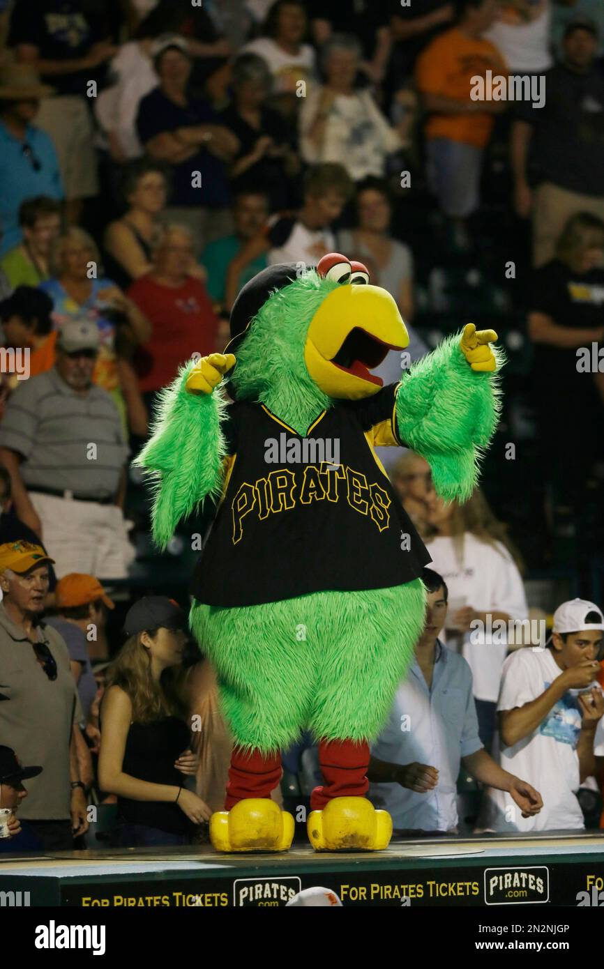 pittsburgh pirate parrot