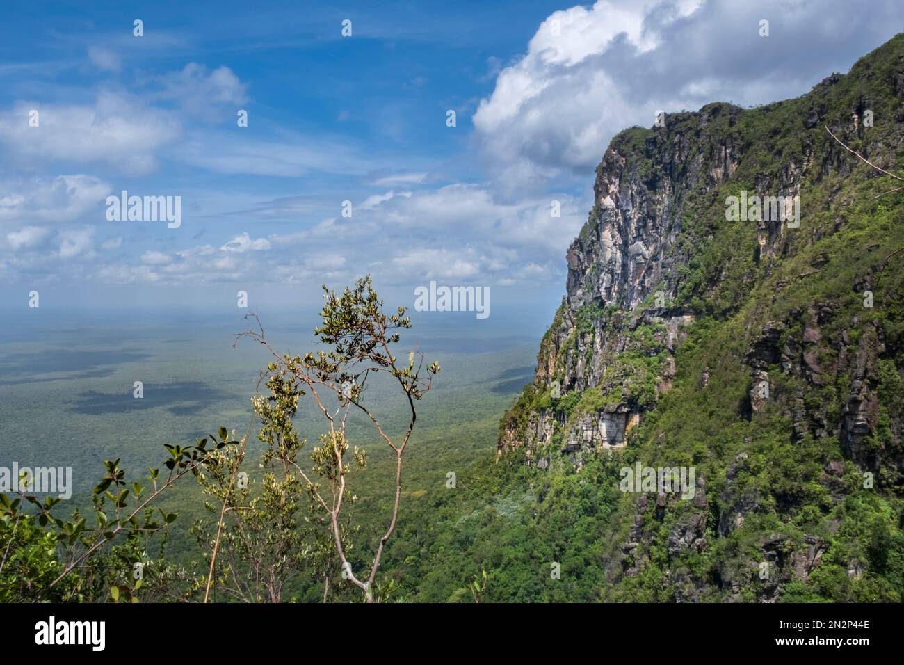 Araca mountain, a tepui in the remote Serra do Araca State Park, Guiana Shield, Amazonas, Brazil Stock Photo