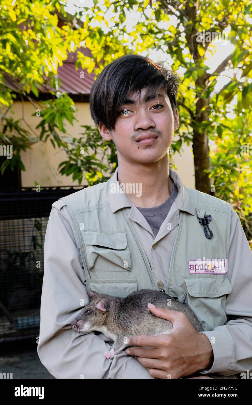 Asia, Cambodia, Siem Reap, Apopo visitor center, staff at the land mine detection centre where they train giant African pouched rats to find landmines Stock Photo