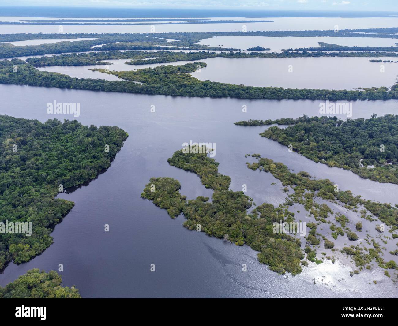 Anavilhanas islands, world's largest river archipelago. Rio Negro. Aerial view. Anavilhanas National Park, Central Amazon Ecological Corridor, Brazil Stock Photo