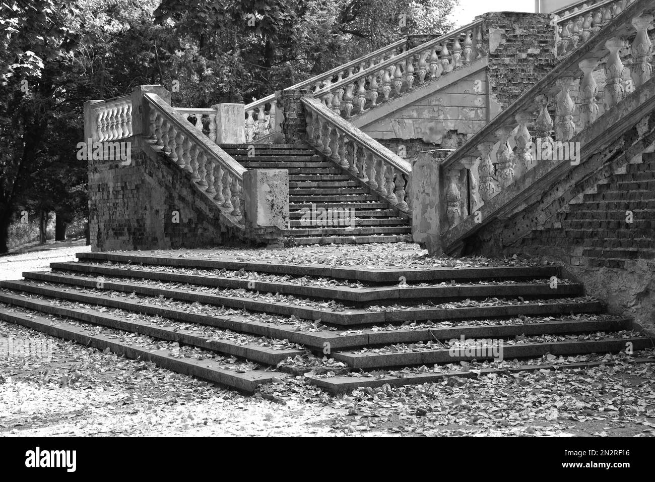 Forest steps stairway stairs Black and White Stock Photos & Images - Alamy