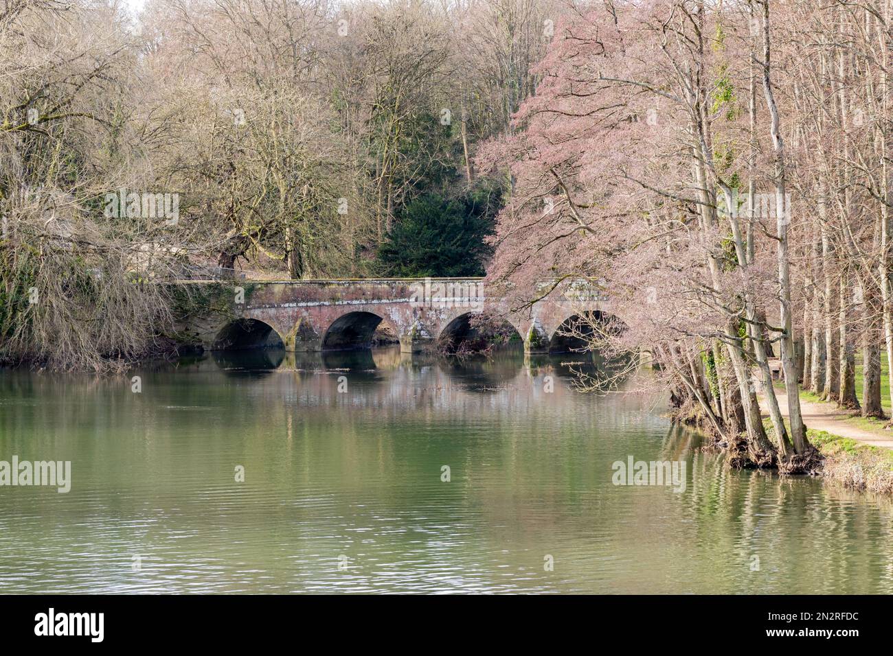 The River Stour at Blandford Forum, Dorset, England on a sunny winter morning. Stock Photo