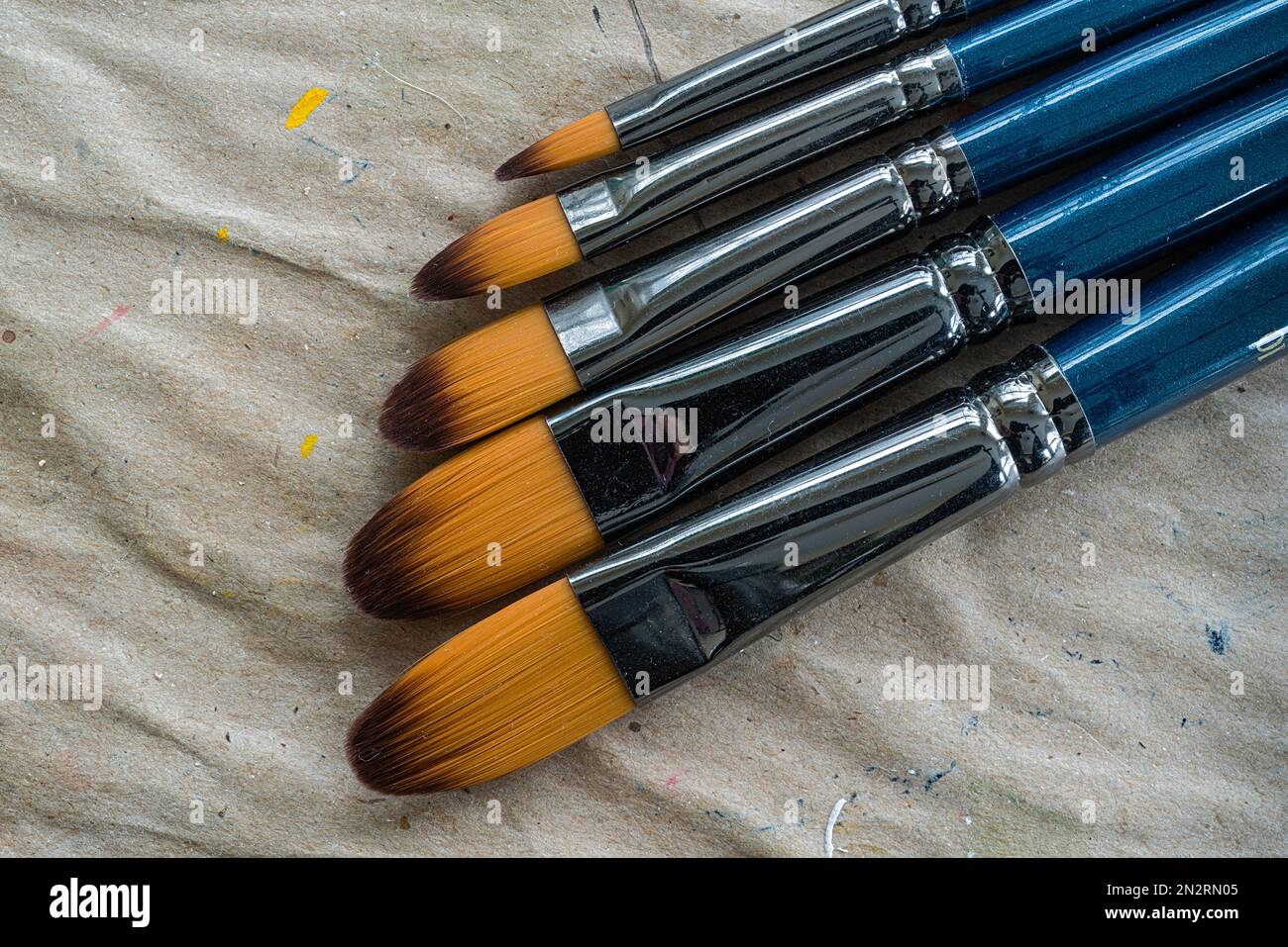 A selection of filbert tipped artist's paint brushes. Stock Photo