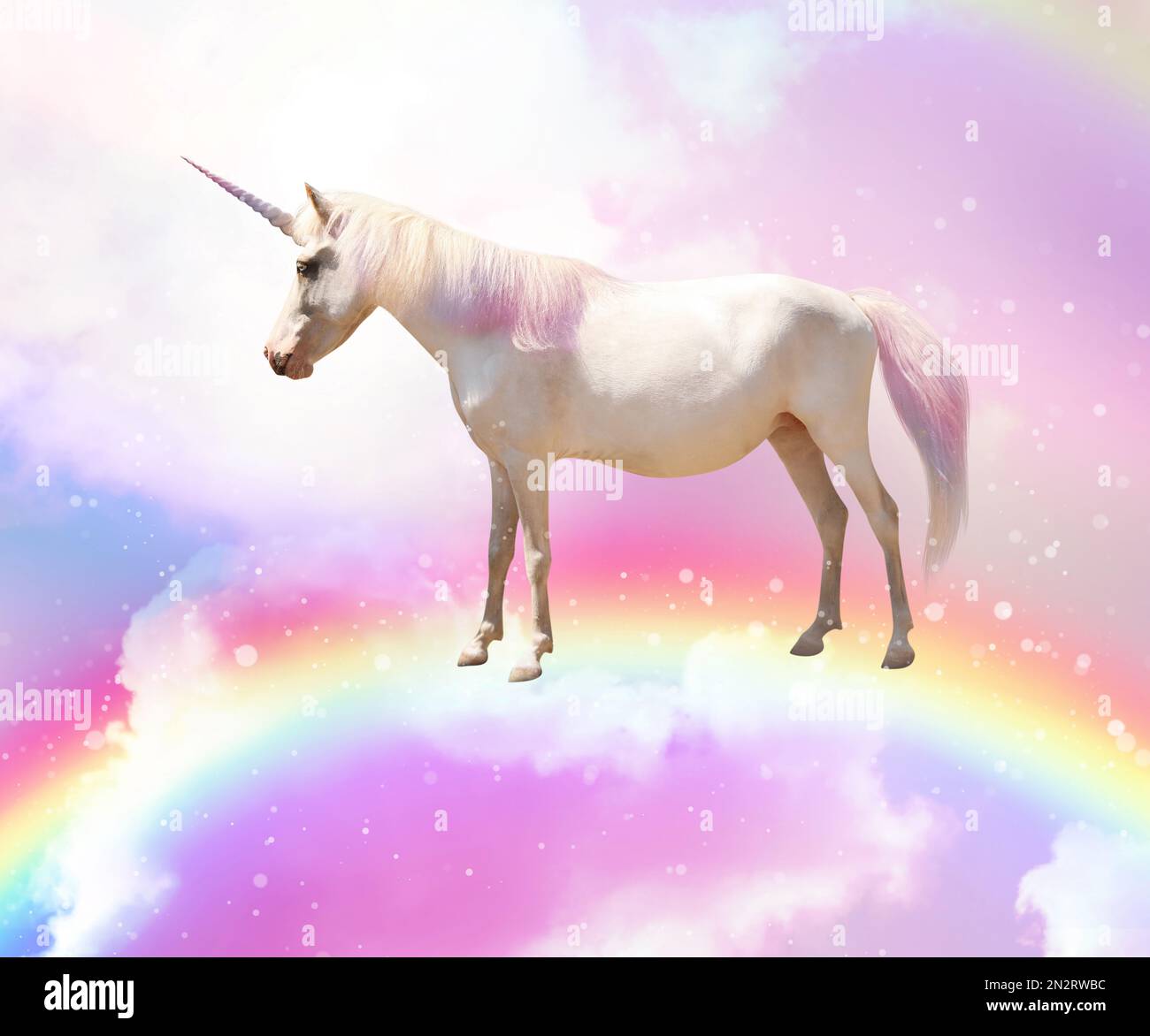 Free Images : fantasy, water, design, unicorn, nature, horse like mammal,  wildlife, fauna, tree, mane, sunlight, mustang horse, wood, forest,  stallion, autumn, woodland, computer wallpaper, landscape 4000x3000 - Susan  Cipriano - 1446763 -, image size:1300x1172