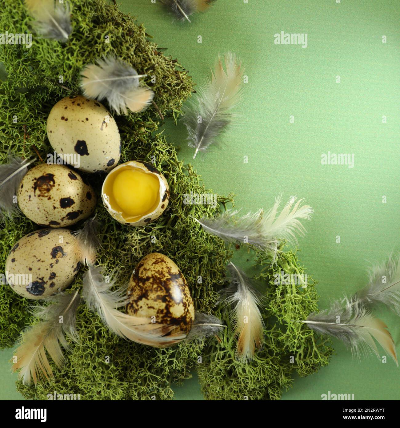 easter eggs and feathers Stock Photo