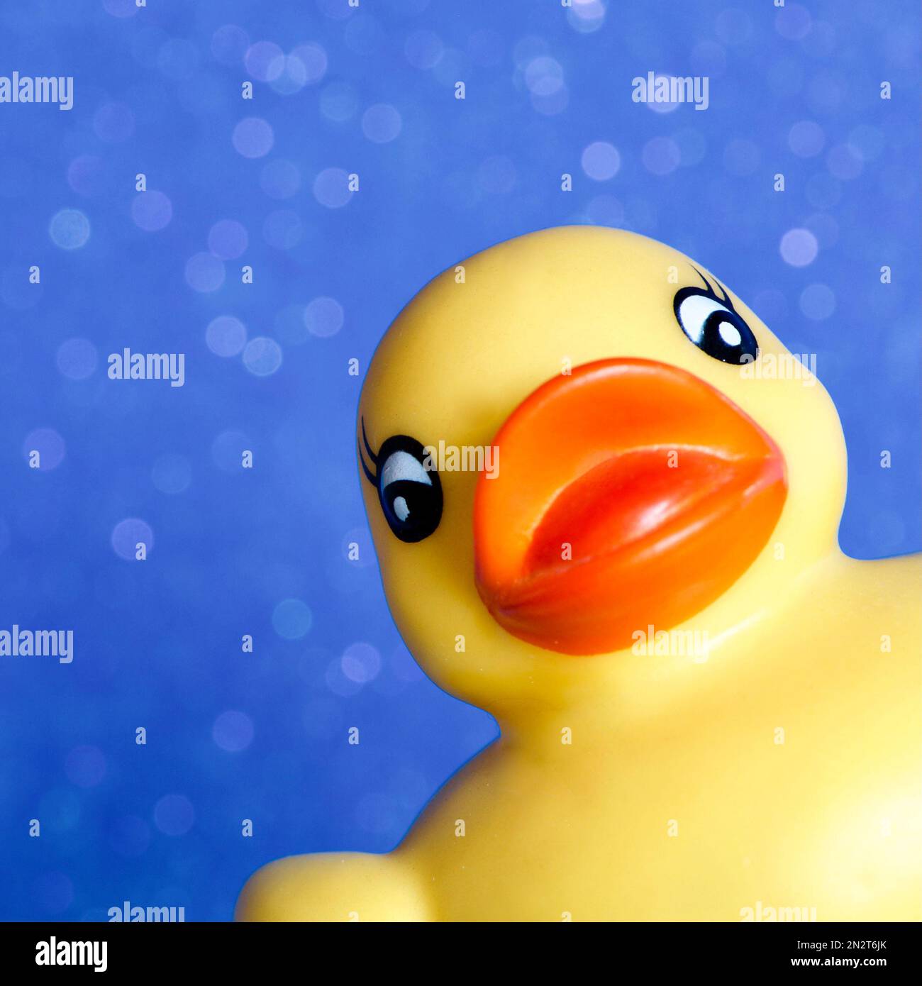 Happy Yellow Rubber Duck face popping up in the corner Stock Photo