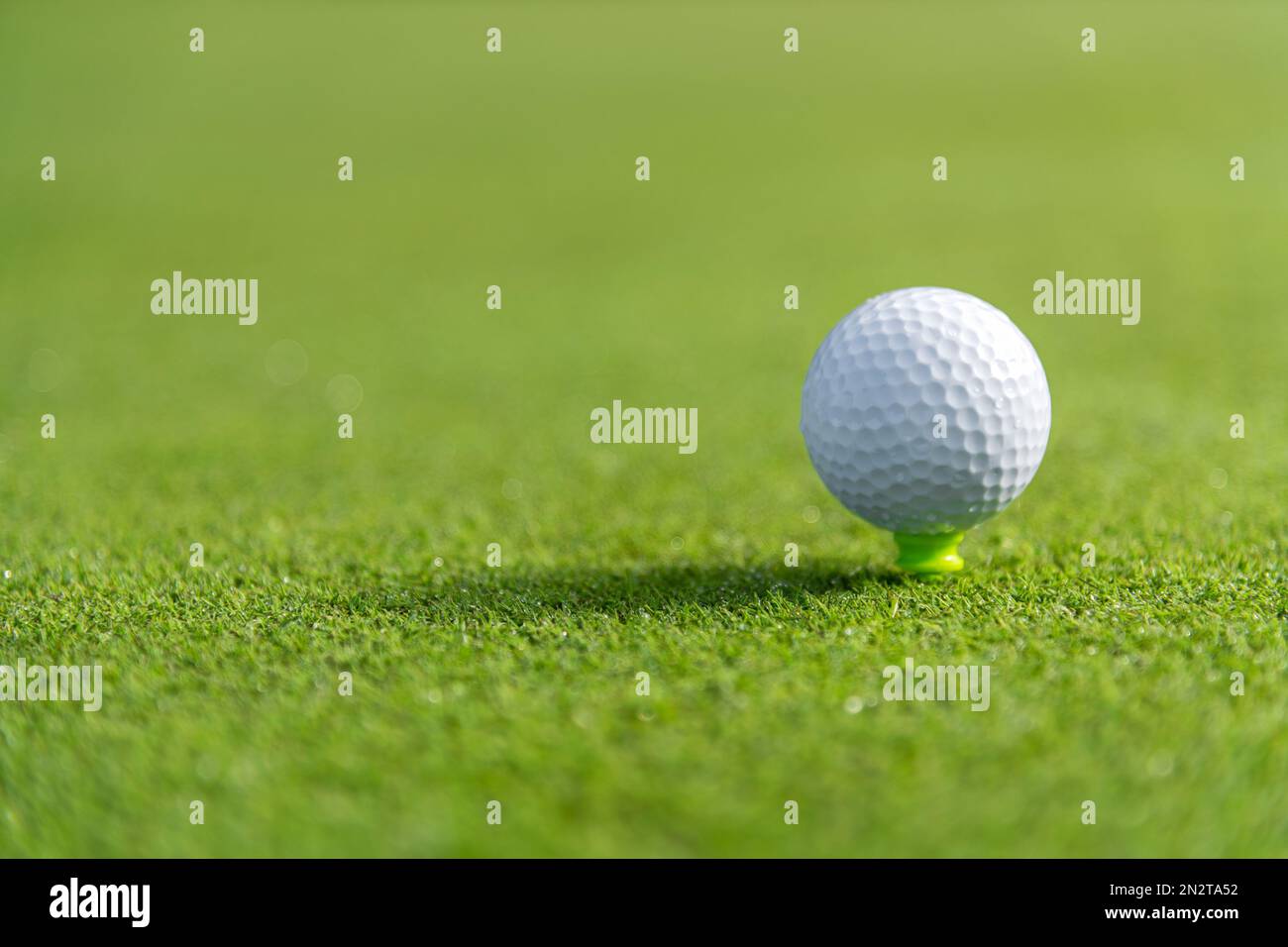 Closeup soft focus of white ball placed on tee on green grassy lawn of golf field Stock Photo