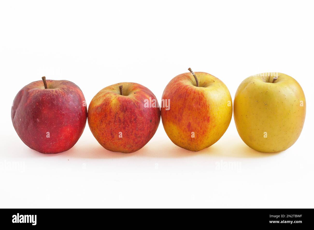 Apples in a row of different colors on a white background Stock Photo