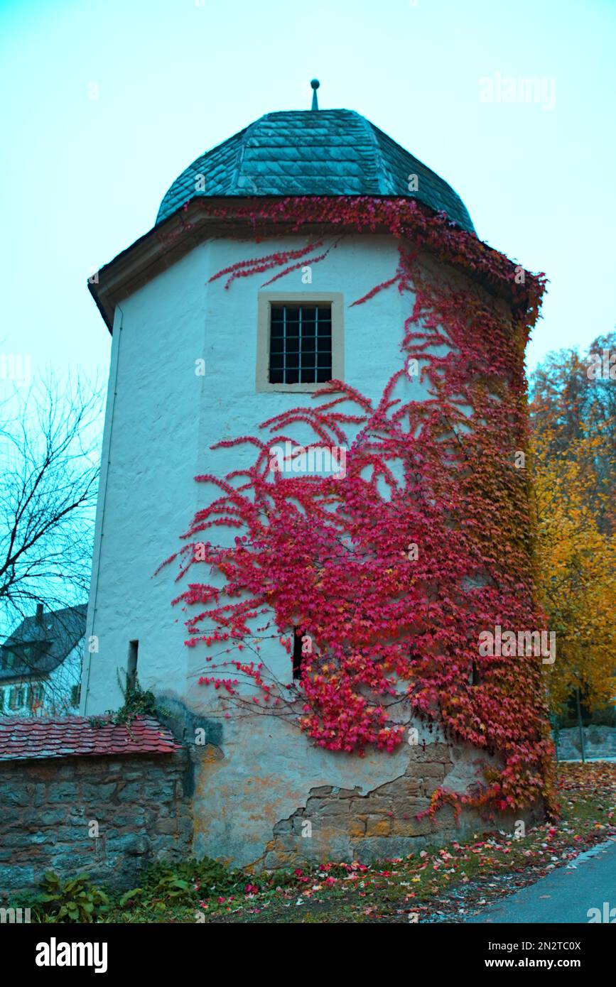 Turm mit Klostermauer des Klosters Schöntal Stock Photo