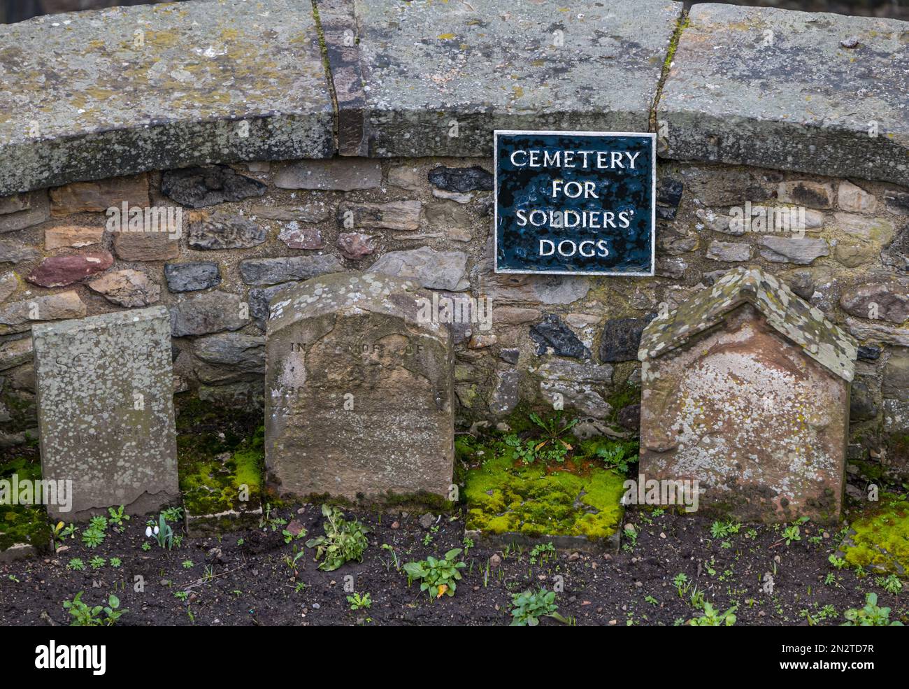Edinburgh dog cemetery hires stock photography and images Alamy
