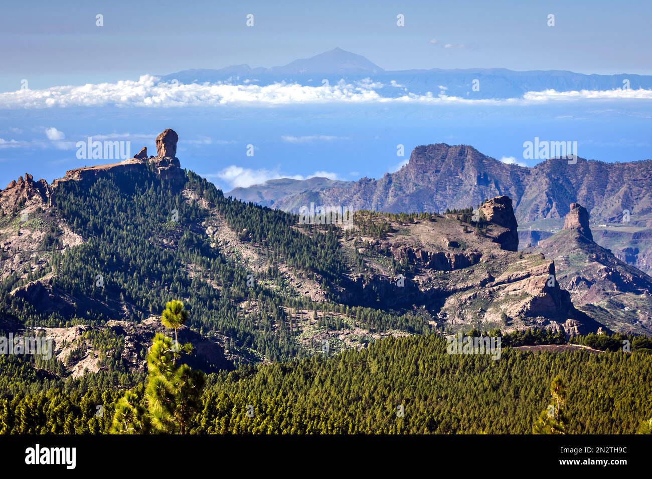 view-of-roque-nublo-from-pico-de-las-nieves-viewpoint-roque-nublo
