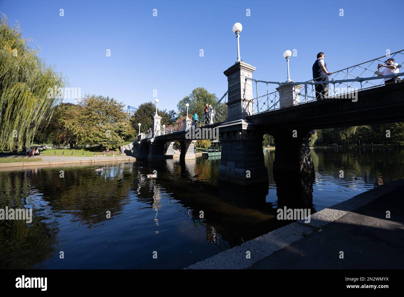 Boston Public Garden Foot Bridge Stock Photo Alamy boston-public-garden-foot-bridge-stock-photo-alamy