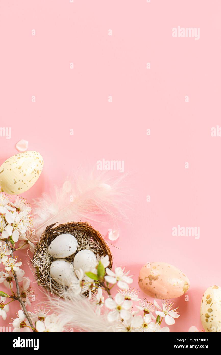 Stylish Easter eggs in nest, cherry blossoms and feathers flat lay on ...