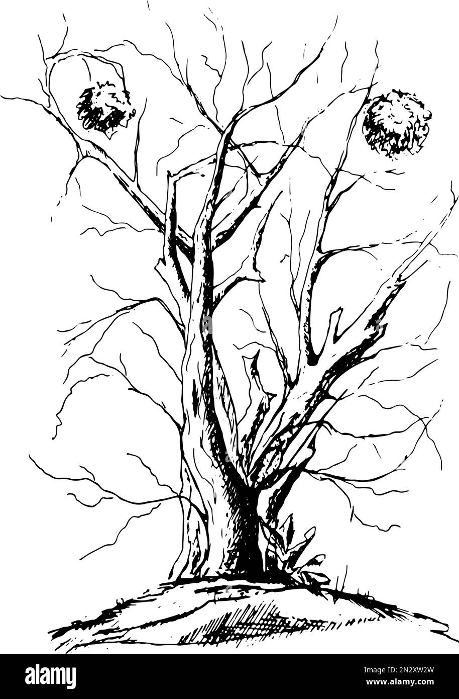 black tree silhouette isolated on white background, vector Stock Vector ...