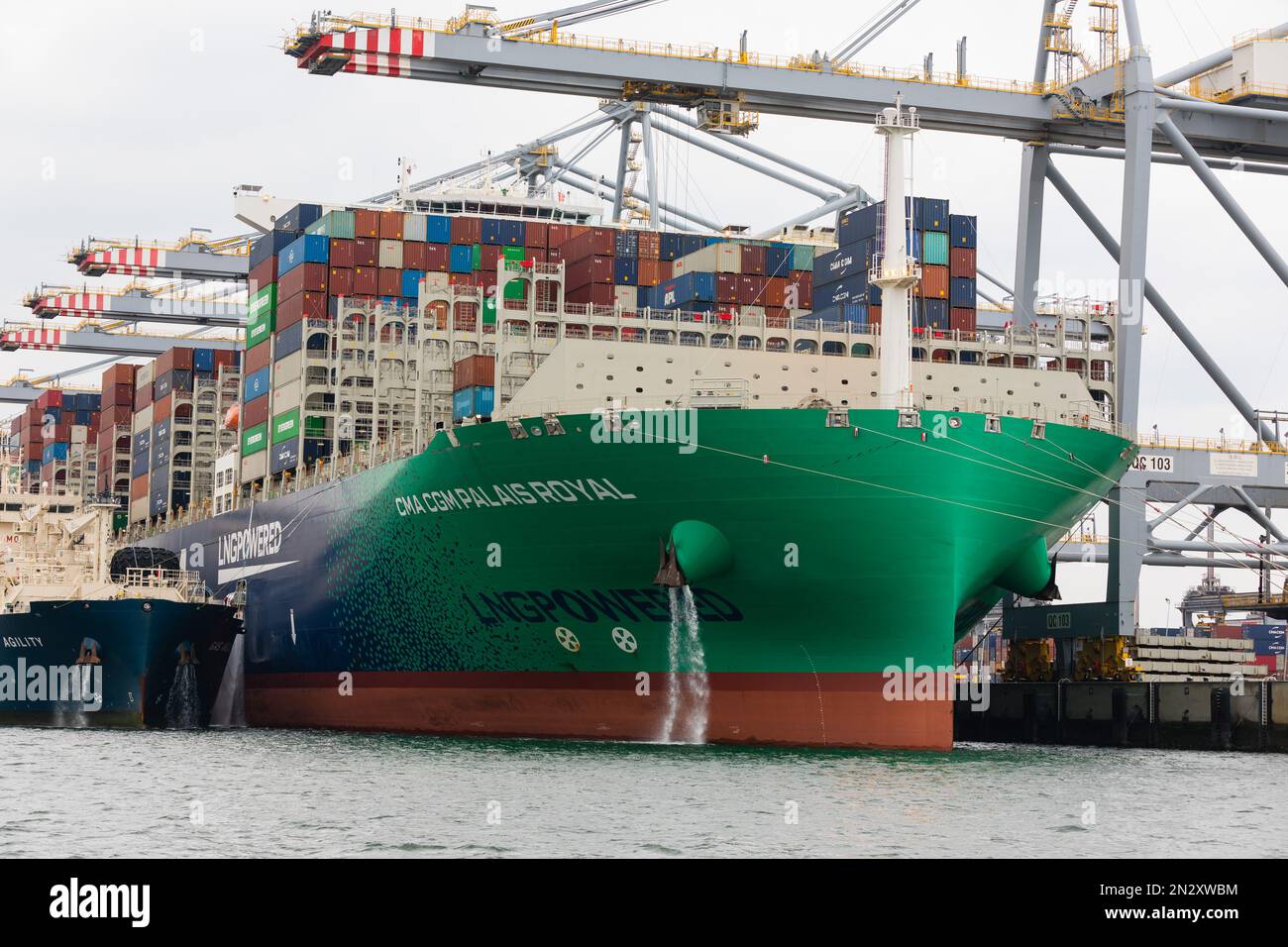 Container ship in Rotterdam harbour, the LNG powered CMA CGM Palais ...