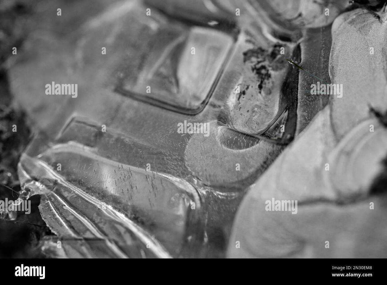 Aesthetic cracks in a frozen puddle of water in the woods Stock Photo