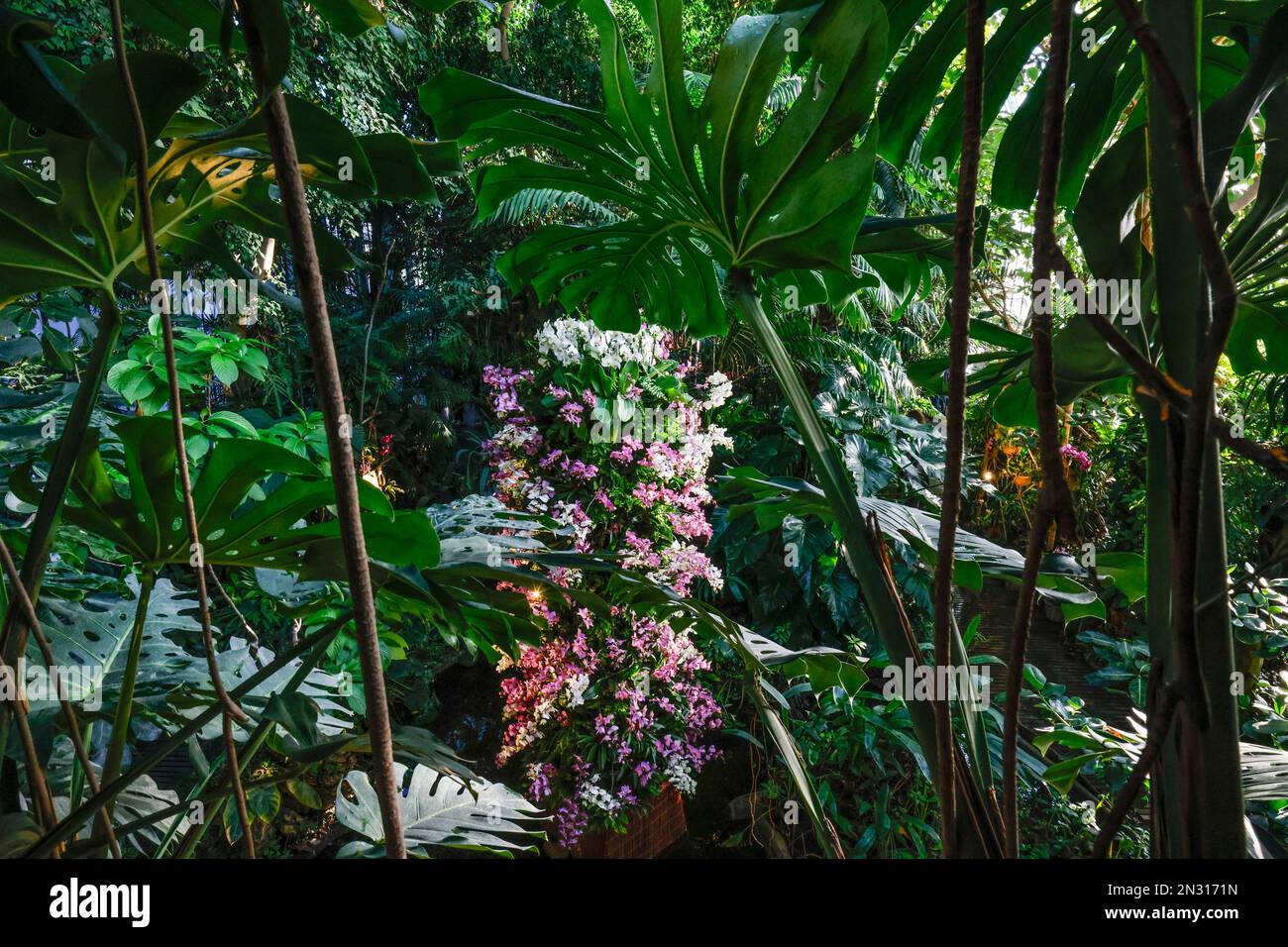 Unmissable hi-res stock photography and images - Alamy