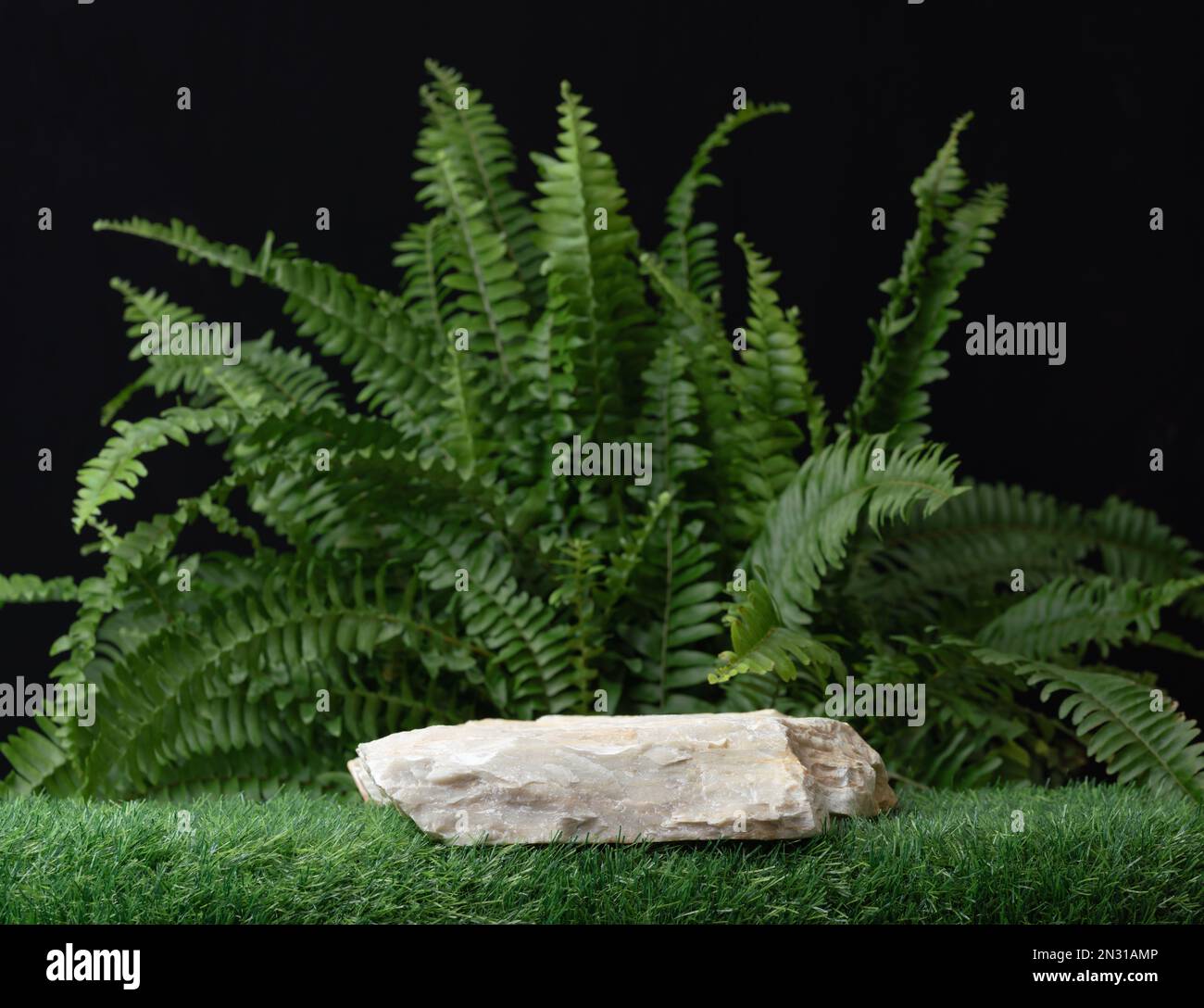 stone granite rock podium on green grass fern forest jungle black background.cosmetics and moisture beauty natural product present placement pedestal Stock Photo